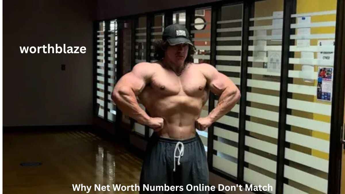 Graphic explaining why different websites report varying Sam Sulek Net Worth figures and how online net worth estimates are calculated.